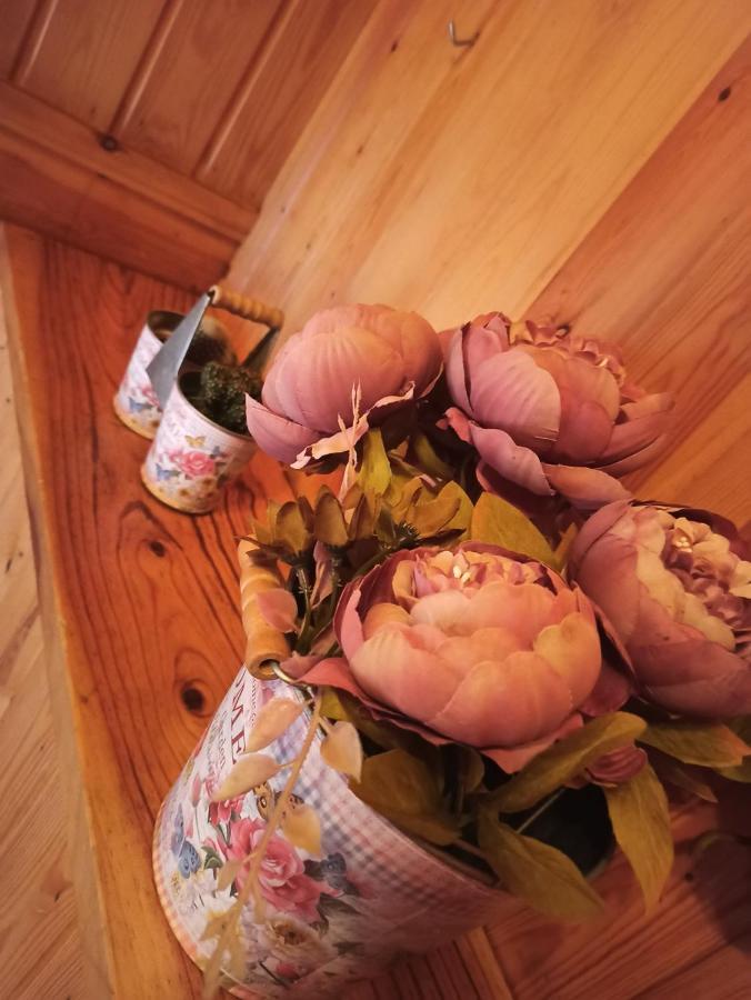 Casa Rural La Cabana Onís エクステリア 写真